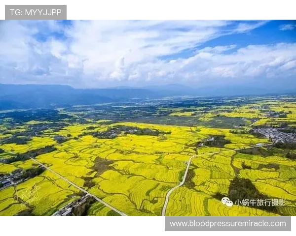 开云体育百家乐玩法详解助你轻松掌握赢取技巧提升游戏体验